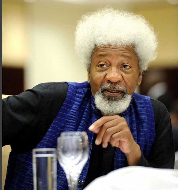 Olatunji Ariyomo: 90-cannon salute to Soyinka