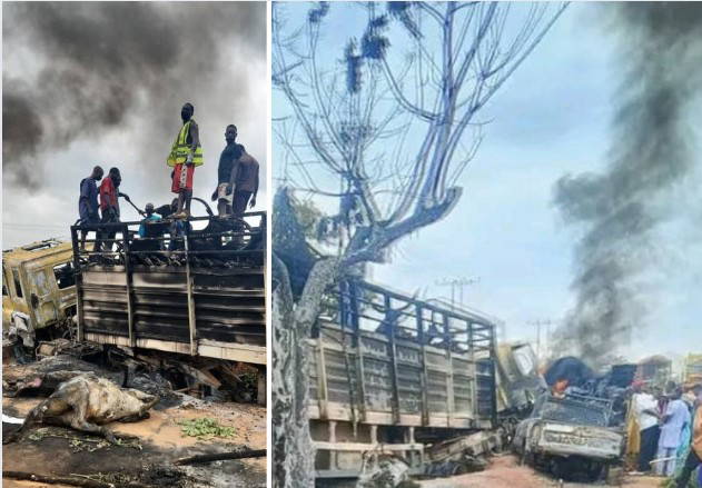 30 die, 50 cattle burnt in Niger tanker explosion